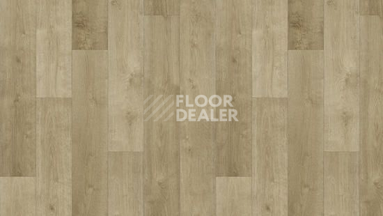 Линолеум Tarkett Фаворит MONDO 3 фото 1 | FLOORDEALER